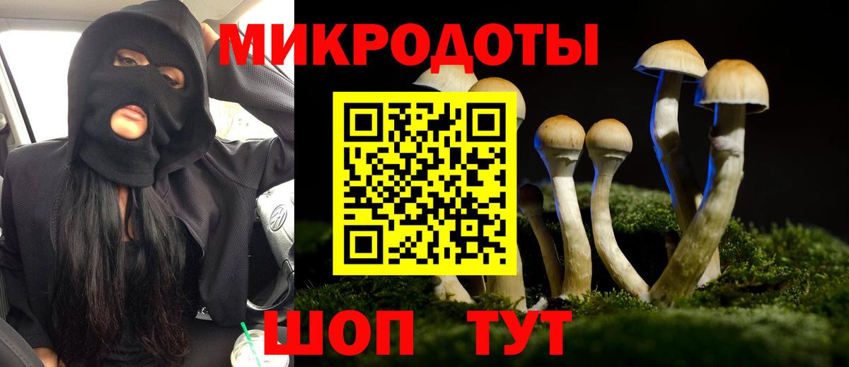 Камышлов  Псилоцибиновые грибы Psilocybe  Вход с VPN 