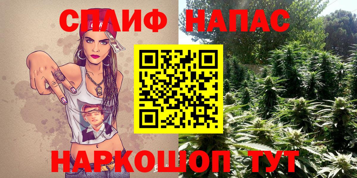 Бошки марихуана SATIVA & INDICA  Бошки Шишки Ganja  Марихуана Ganja  Камышлов  Вход с VPN  Шишки марихуана сатива 